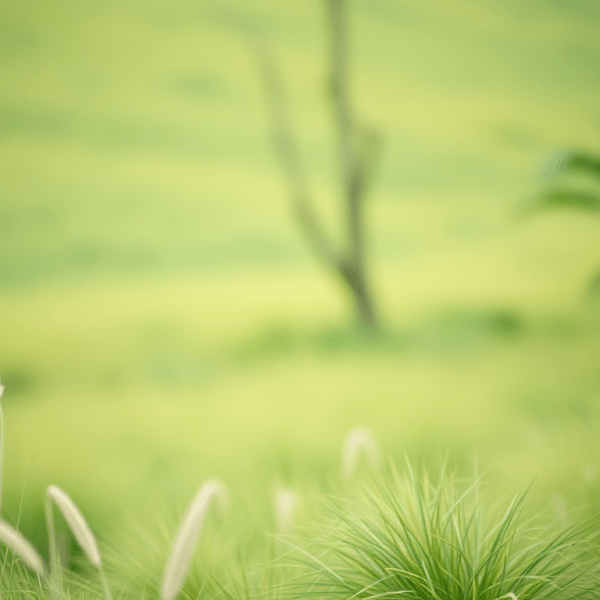 Cuando el sistema nervioso vive en&nbsp;alerta