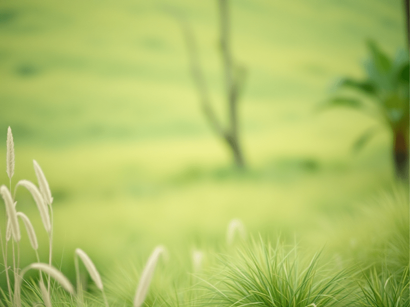 Cuando el sistema nervioso vive en&nbsp;alerta