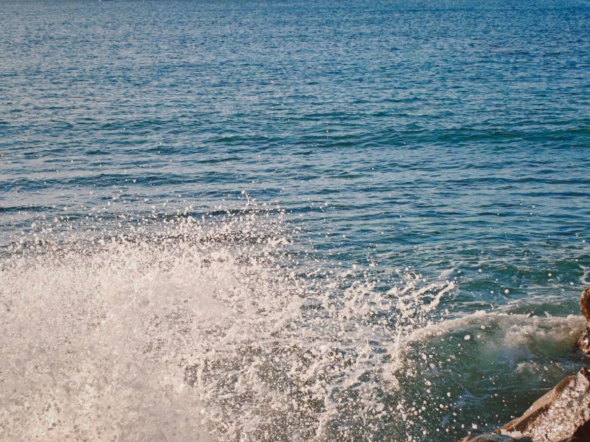 Cuando el cuerpo vive en alerta y no sabes por&nbsp;qué